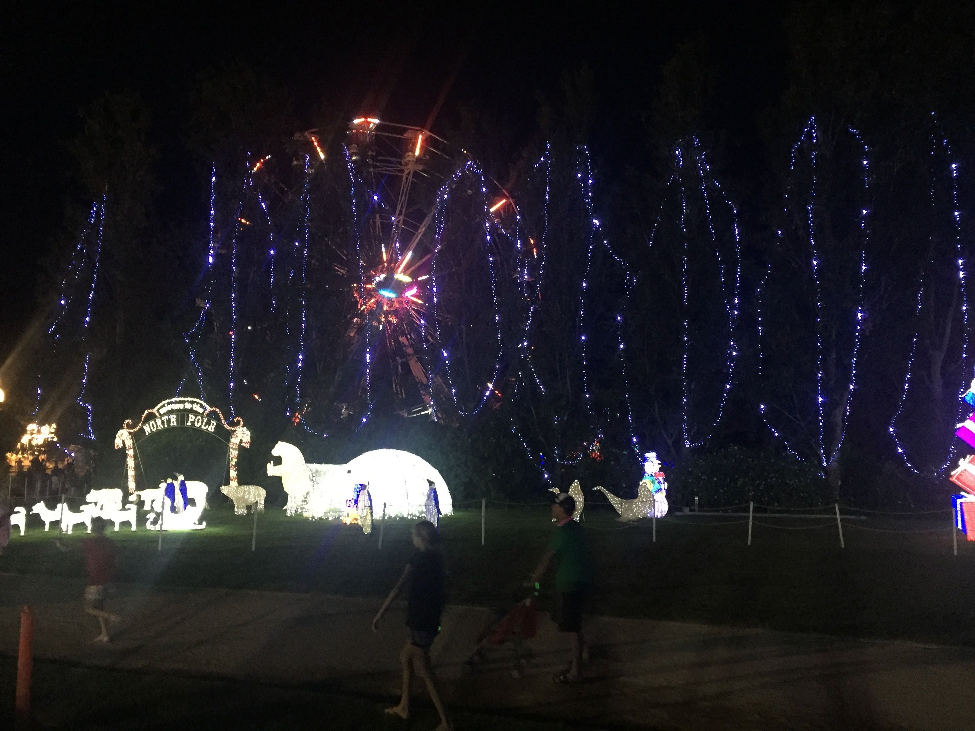 Hunter Valley Christmas Lights Spectacular Image -5b3abbcab91d2